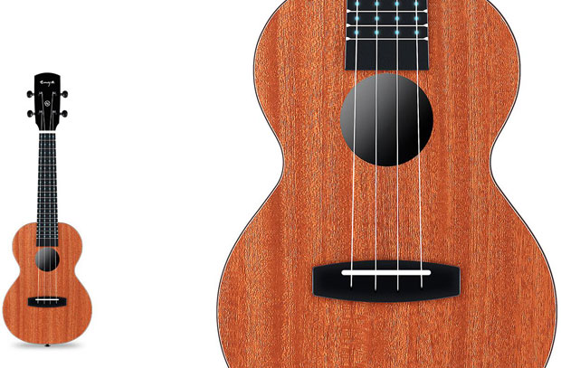 智邦国际ERP系统签约惠州市恩雅乐器有限公司