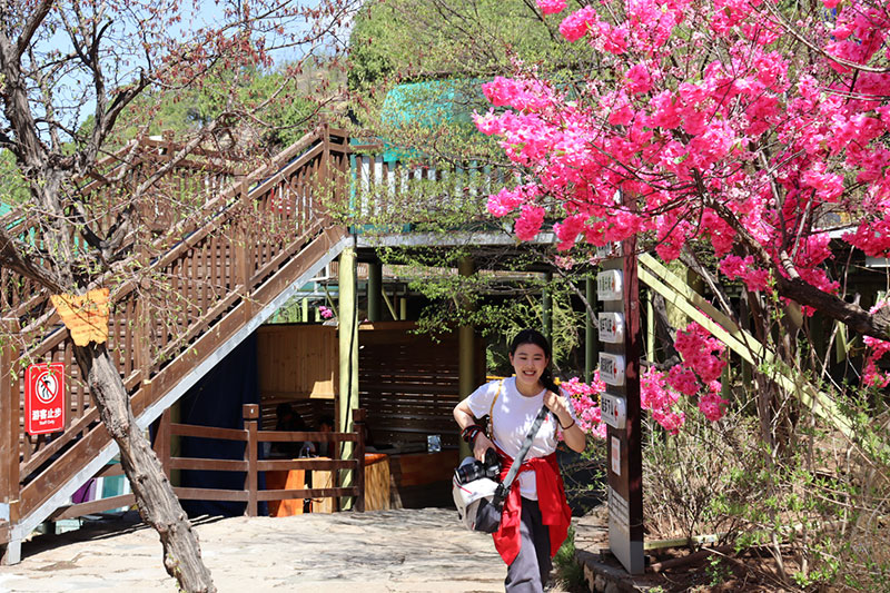 春风暖四月，同心同飞扬！智邦国际2025年春游活动圆满举行